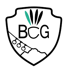 Logo du BCG38, badminton club grenoble - partenaire officiel du Valence Alpes International